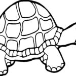 Raskrasil.com-Coloring-Pages-Turtle-72