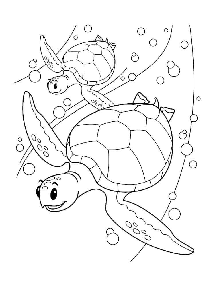 Raskrasil.com-Coloring-Pages-Turtle-77