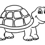 Raskrasil.com-Coloring-Pages-Turtle-78