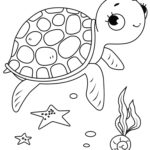 Raskrasil.com-Coloring-Pages-Turtle-8