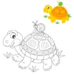 Raskrasil.com-Coloring-Pages-Turtle-80