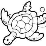 Raskrasil.com-Coloring-Pages-Turtle-83