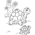 Raskrasil.com-Coloring-Pages-Turtle-84