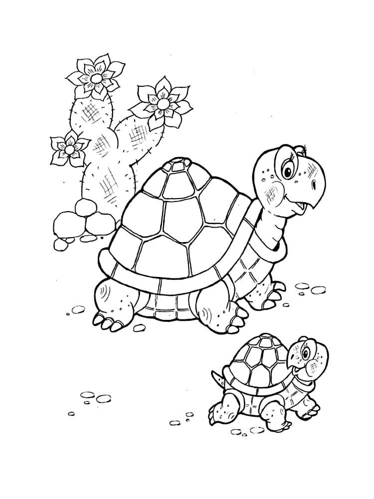 Raskrasil.com-Coloring-Pages-Turtle-84