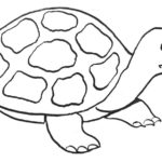 Raskrasil.com-Coloring-Pages-Turtle-86