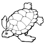 Raskrasil.com-Coloring-Pages-Turtle-87