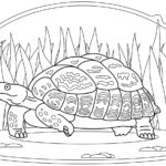 Raskrasil.com-Coloring-Pages-Turtle-88