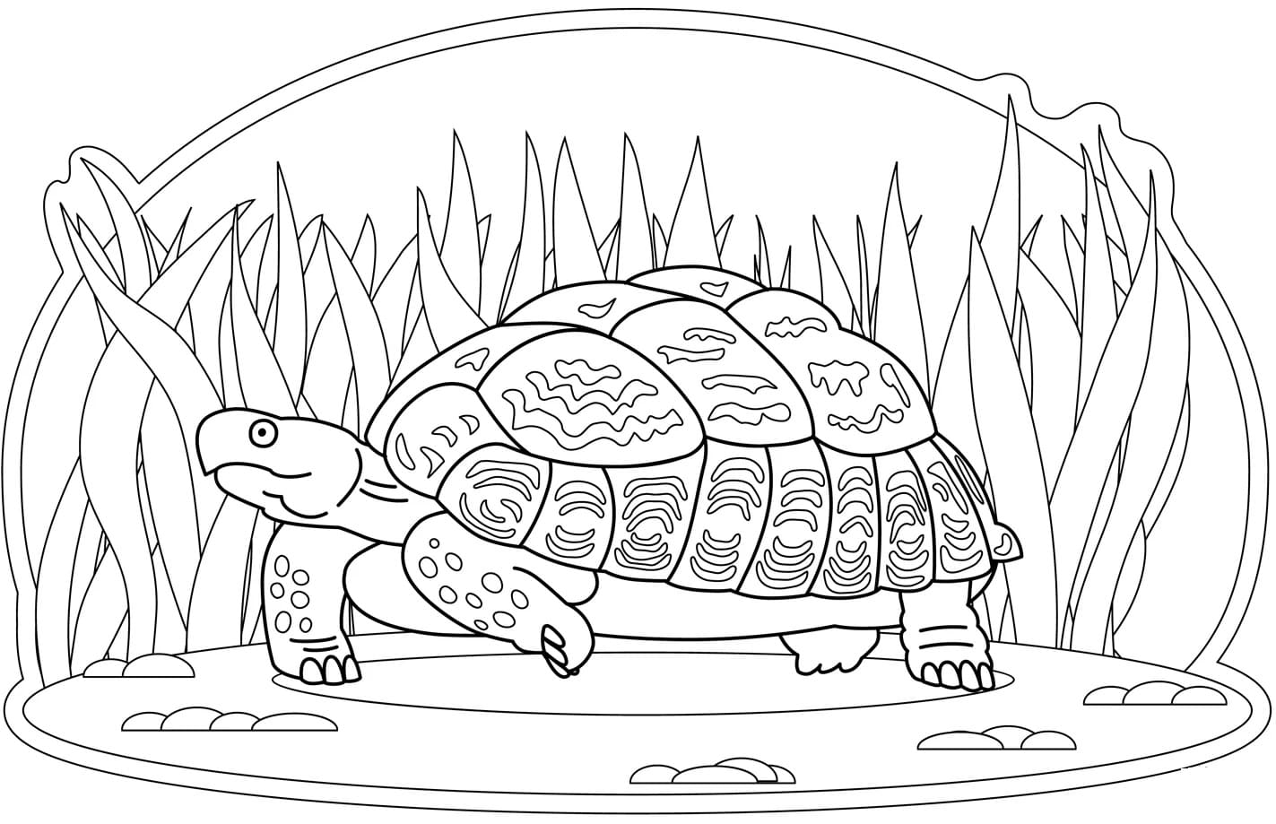Raskrasil.com-Coloring-Pages-Turtle-88