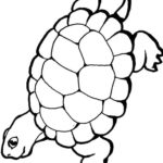 Raskrasil.com-Coloring-Pages-Turtle-89