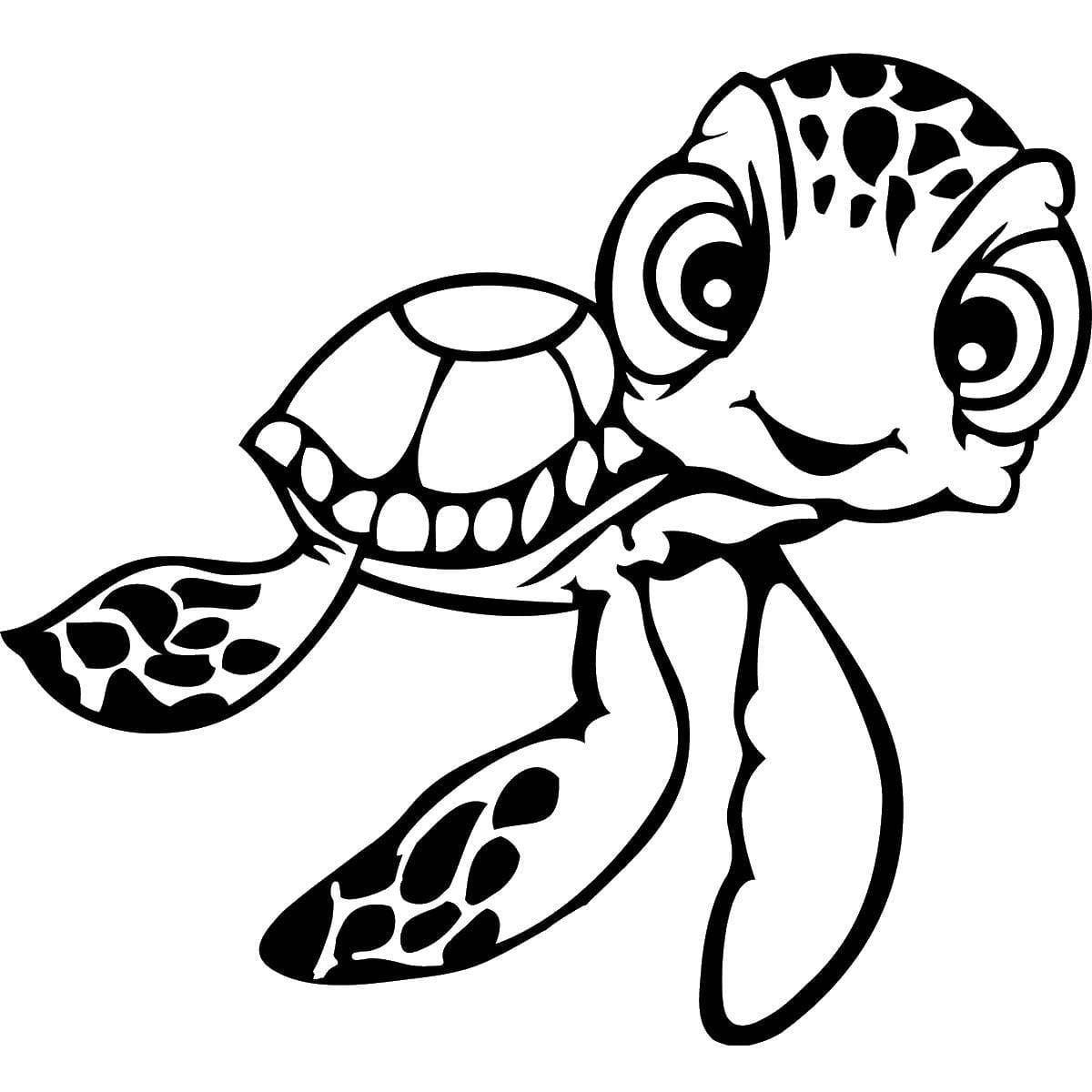Raskrasil.com-Coloring-Pages-Turtle-9