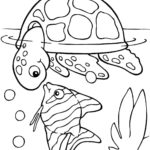 Raskrasil.com-Coloring-Pages-Turtle-90