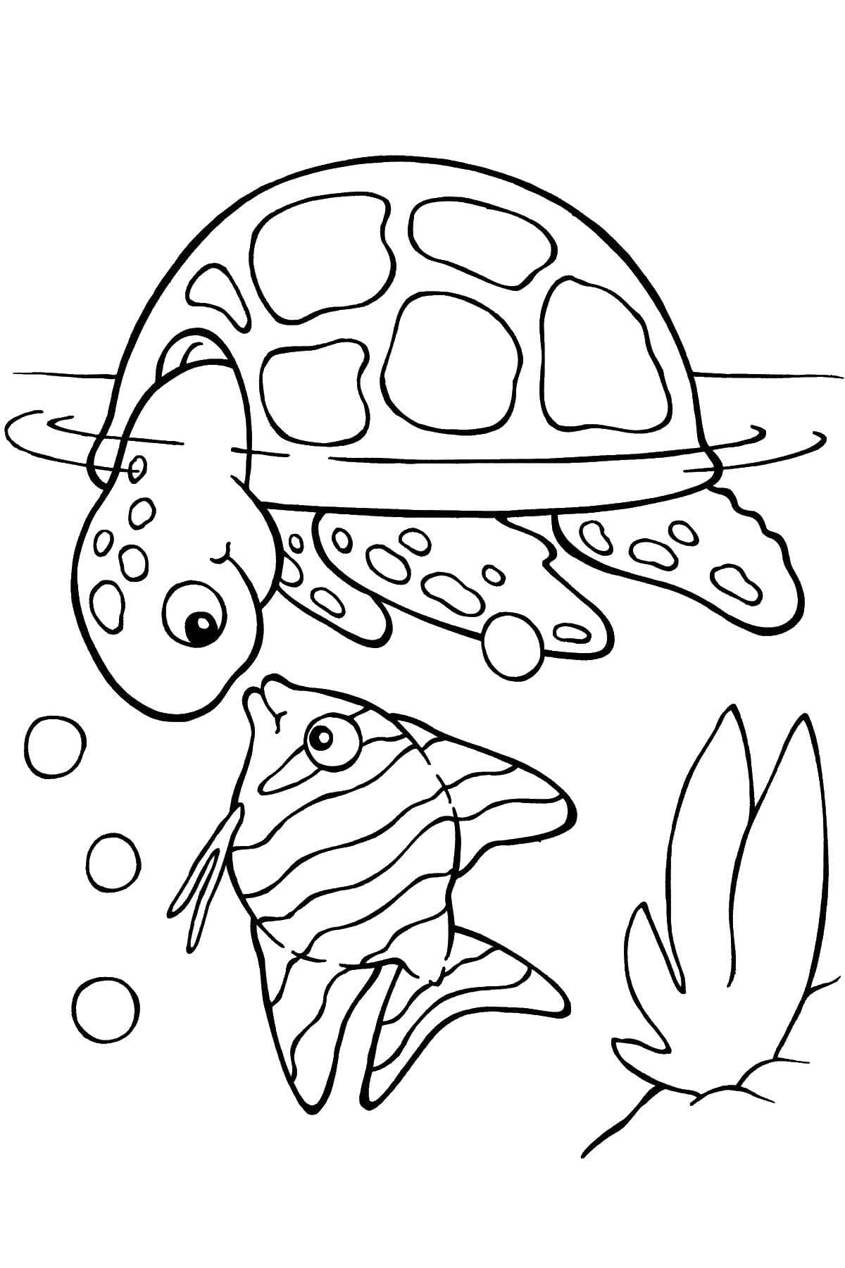 Raskrasil.com-Coloring-Pages-Turtle-90