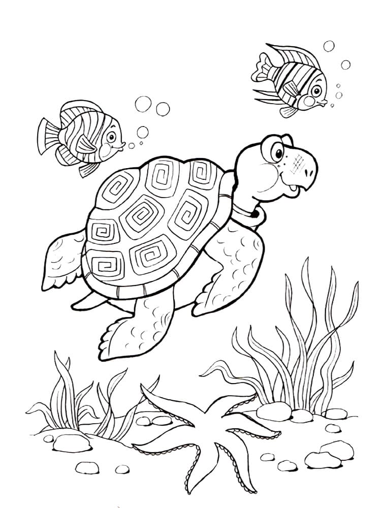 Raskrasil.com-Coloring-Pages-Turtle-95