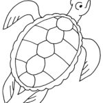 Raskrasil.com-Coloring-Pages-Turtle-96