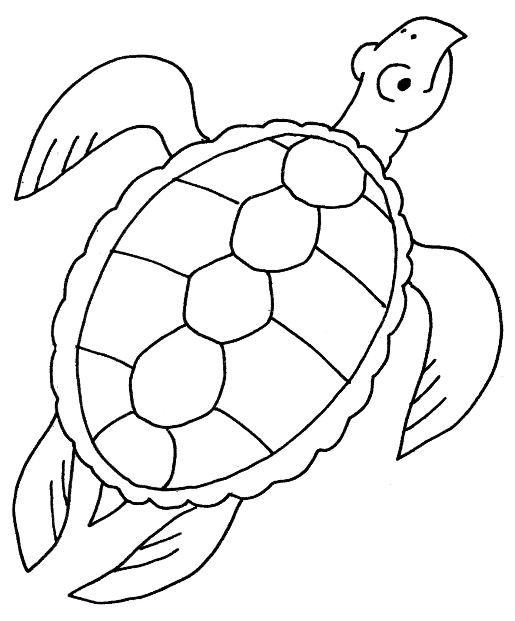Raskrasil.com-Coloring-Pages-Turtle-96