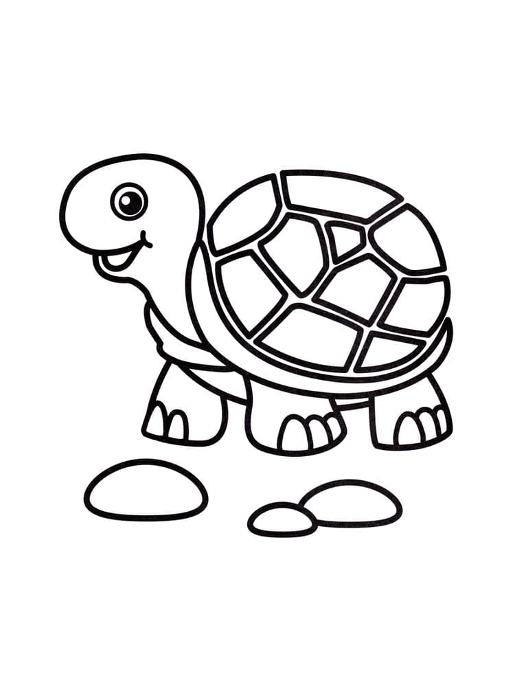 Raskrasil.com-Coloring-Pages-Turtle-99