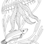 Raskrasil.com-Coloring-Pages-Under-The-Sea-102