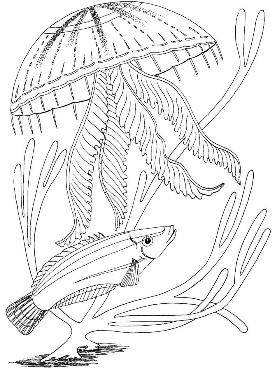 Raskrasil.com-Coloring-Pages-Under-The-Sea-102
