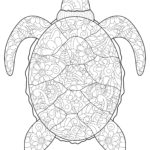 Raskrasil.com-Coloring-Pages-Under-The-Sea-103