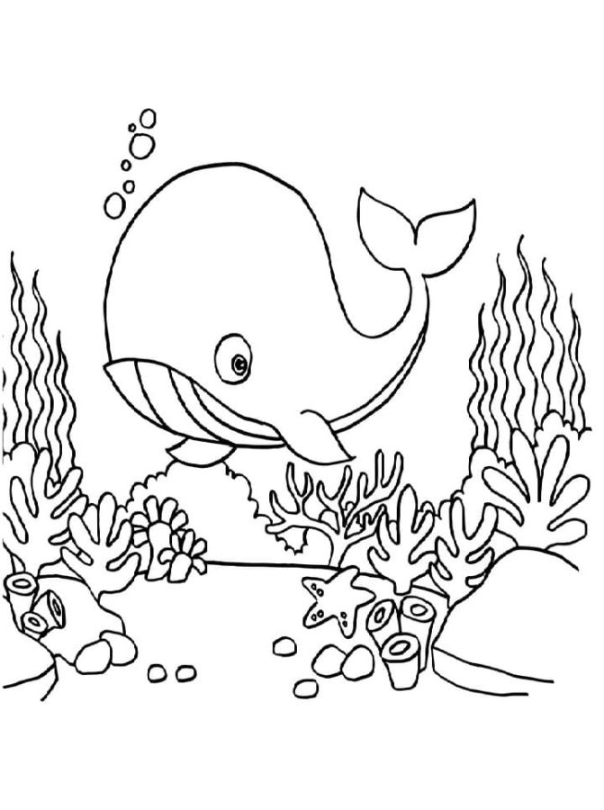 Under The Sea Coloring Pages | 100 Pictures Free Printable