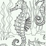 Raskrasil.com-Coloring-Pages-Under-The-Sea-29