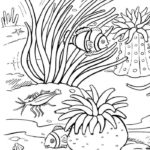 Raskrasil.com-Coloring-Pages-Under-The-Sea-55
