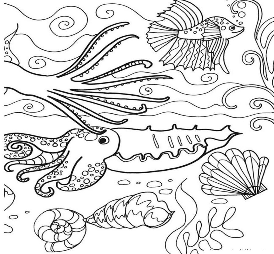 Desenhos de Mundo Subaquático para Colorir