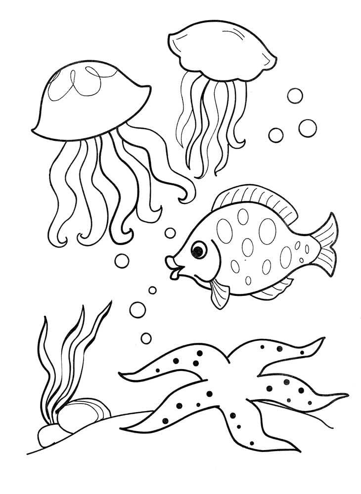 Raskrasil.com-Coloring-Pages-Under-The-Sea-92