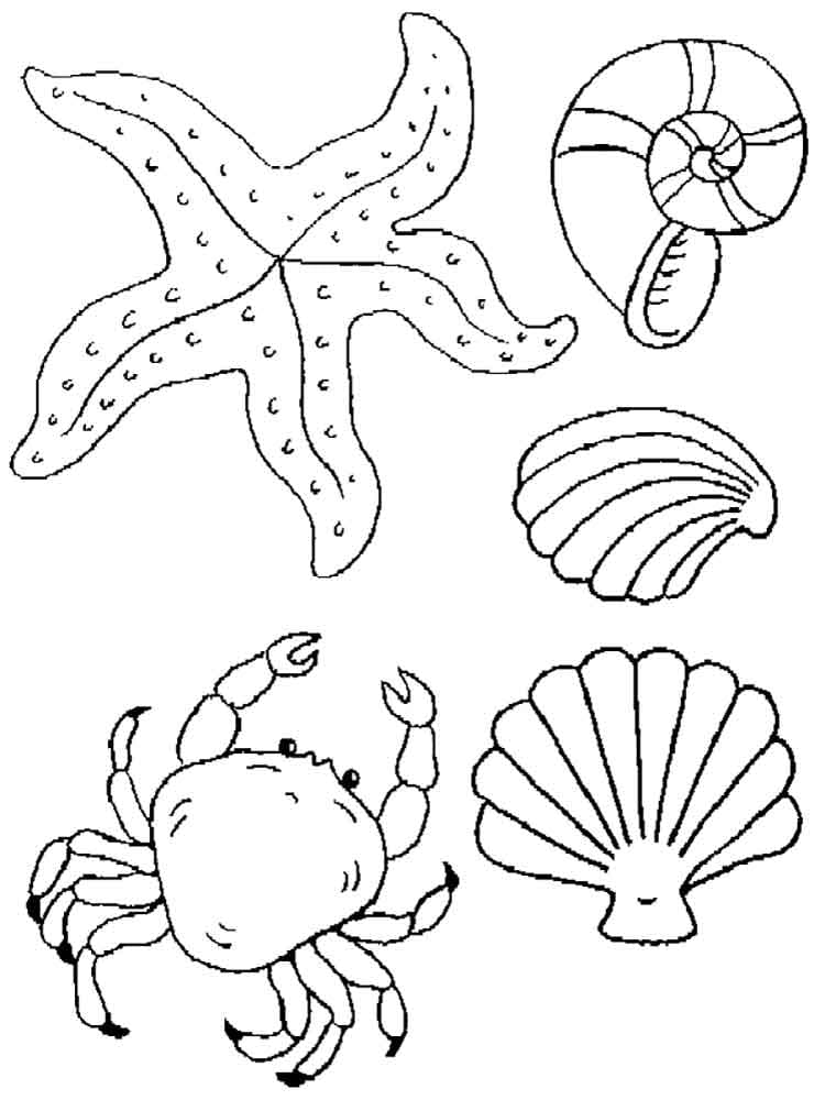 Raskrasil.com-Coloring-Pages-Under-The-Sea-93