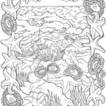 Raskrasil.com-Coloring-Pages-Under-The-Sea-99