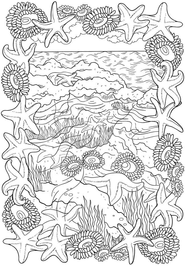 Raskrasil.com-Coloring-Pages-Under-The-Sea-99