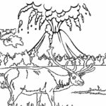 Raskrasil.com-Coloring-Pages-Volcano-69