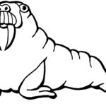 Raskrasil.com-Coloring-Pages-Walrus-102