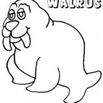 Raskrasil.com-Coloring-Pages-Walrus-104