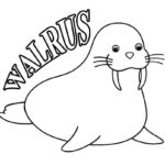 Raskrasil.com-Coloring-Pages-Walrus-12