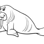 Raskrasil.com-Coloring-Pages-Walrus-14