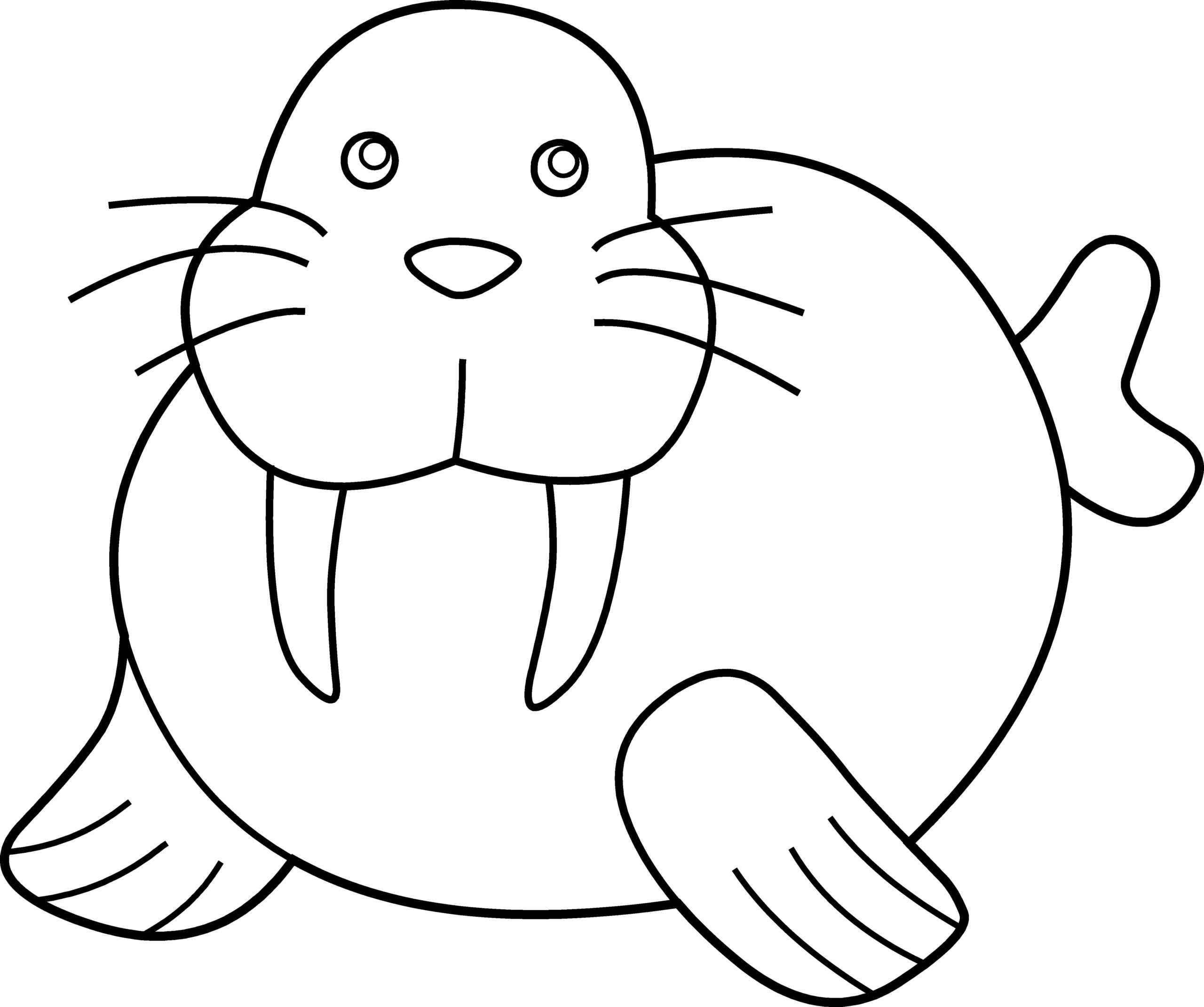 Raskrasil.com-Coloring-Pages-Walrus-20
