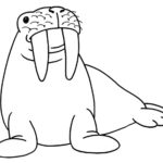 Raskrasil.com-Coloring-Pages-Walrus-21