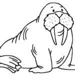 Raskrasil.com-Coloring-Pages-Walrus-23