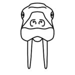 Raskrasil.com-Coloring-Pages-Walrus-27