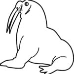 Raskrasil.com-Coloring-Pages-Walrus-29