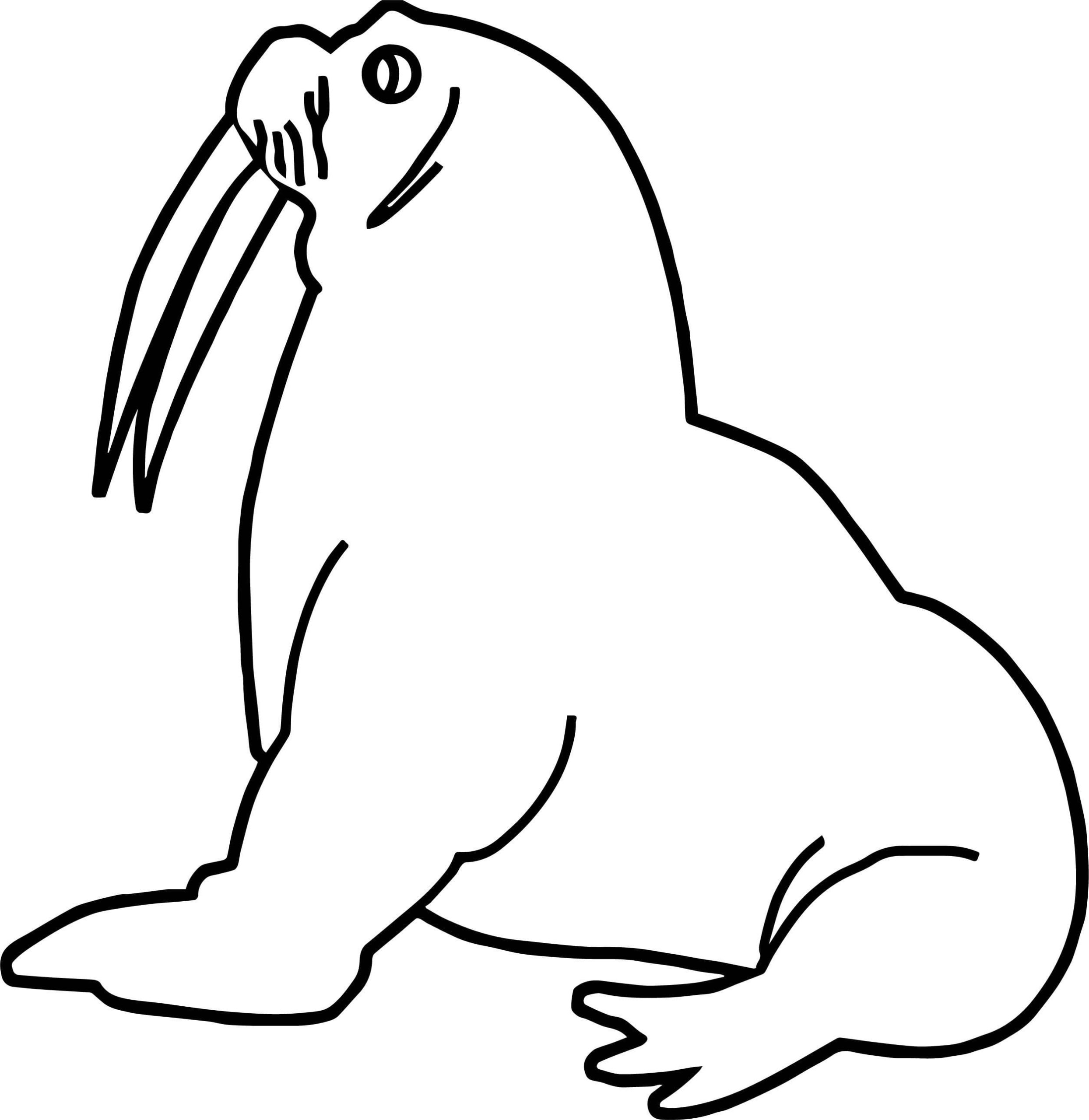 Raskrasil.com-Coloring-Pages-Walrus-29