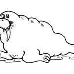 Raskrasil.com-Coloring-Pages-Walrus-33