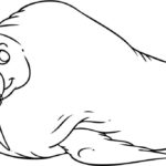 Raskrasil.com-Coloring-Pages-Walrus-35