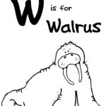 Raskrasil.com-Coloring-Pages-Walrus-37