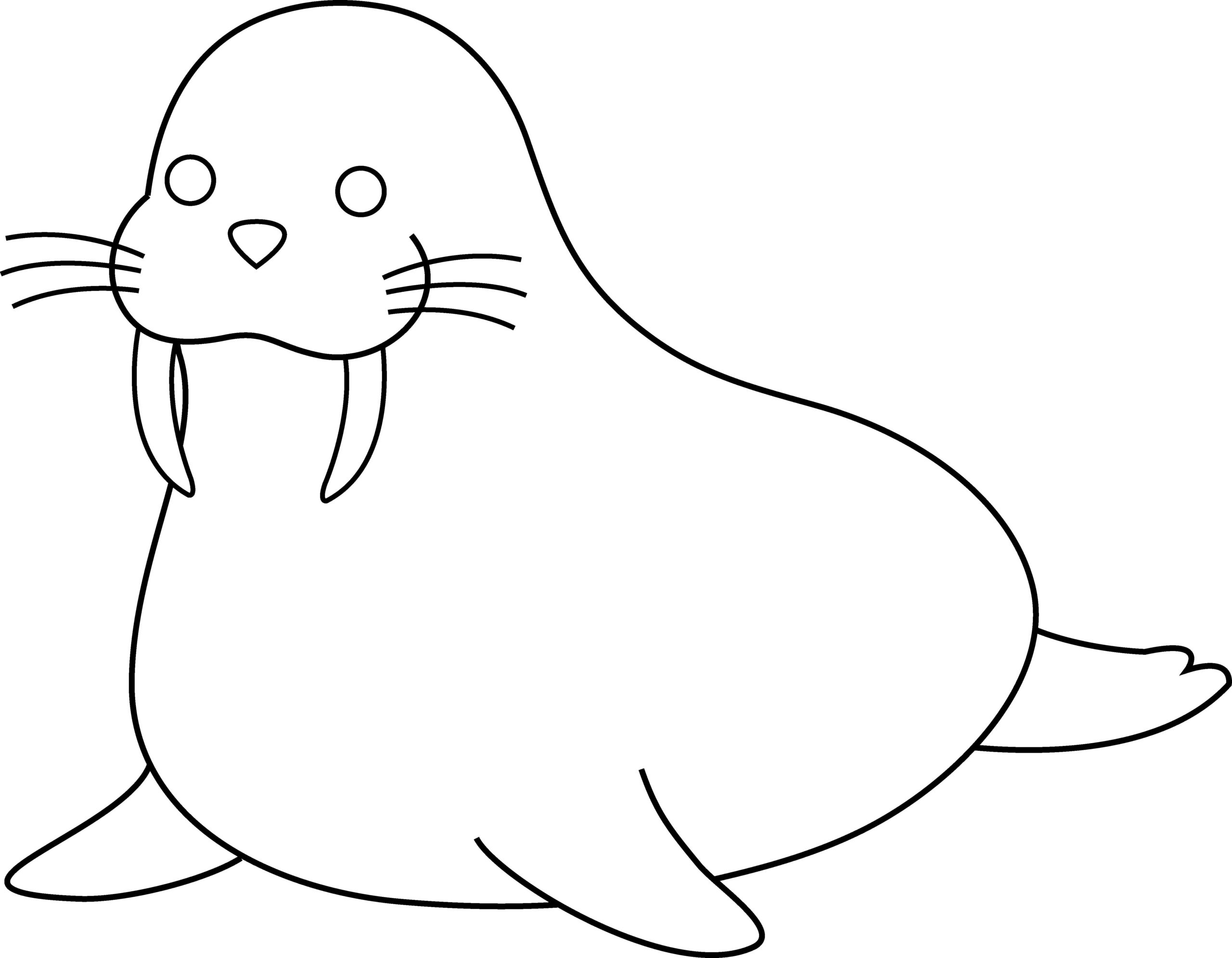 Raskrasil.com-Coloring-Pages-Walrus-39
