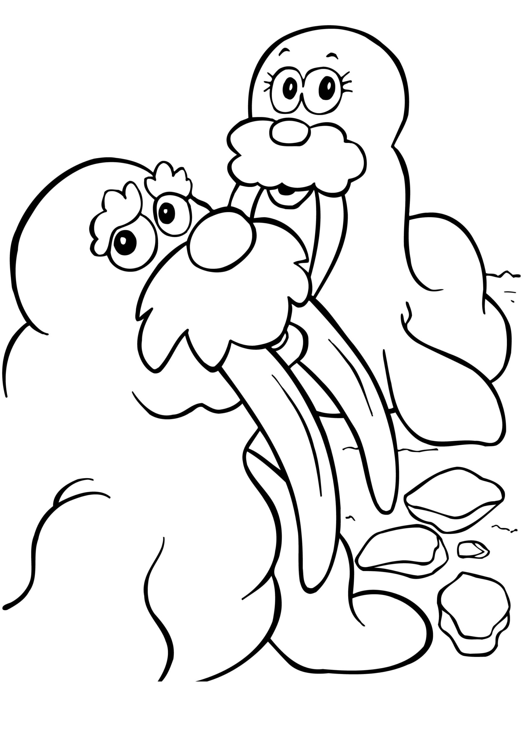 Raskrasil.com-Coloring-Pages-Walrus-40