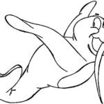Raskrasil.com-Coloring-Pages-Walrus-55