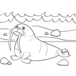 Raskrasil.com-Coloring-Pages-Walrus-56