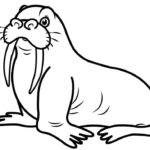 Raskrasil.com-Coloring-Pages-Walrus-64